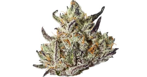 710 Labs Stardawg Pie 9 35g San Diego Vista And Imperial