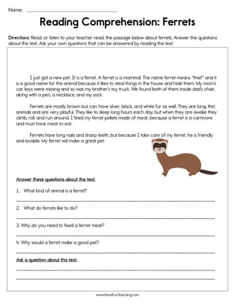 Ferrets Reading Comprehension Worksheet Have Fun Teaching
