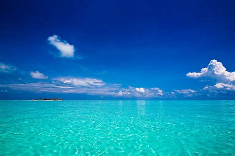 Blue Water Tropical Island Tubbataha Palawan Caribbean Flickr