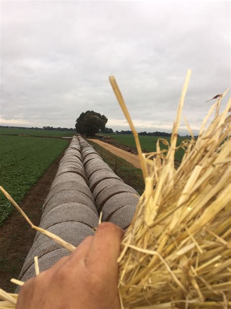 Good Barley Straw For Sale In Rolls The Best In Victoria Hay