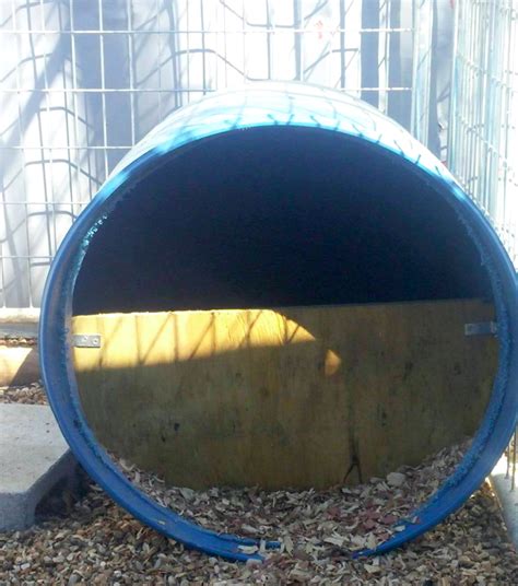 Why We Prefer To Use Blue Barrels For Dog Houses Plastic Dog House