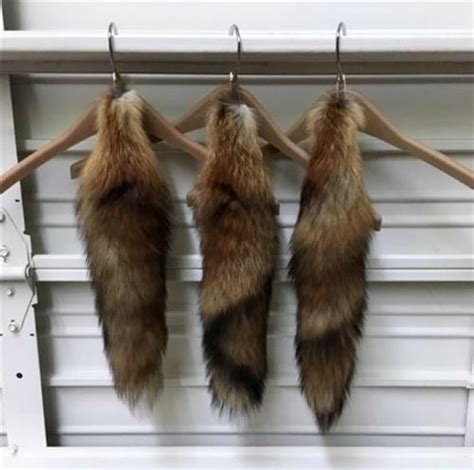 Genuine Red Fox Fur 3 Tails Approx 17 Each Usa Fur Liquidation