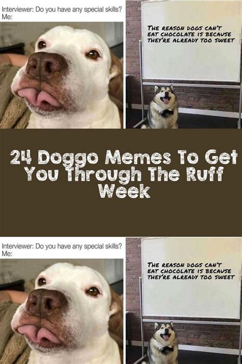 24 Doggo Memes To Get You Through The Ruff Week Artofit