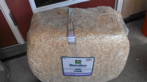 Compressed Straw The Bomb Gourmet And Medicinal Mushrooms