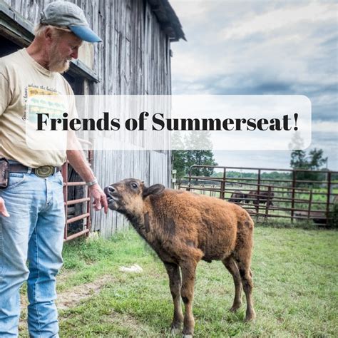 Donations Summerseat Farm Inc