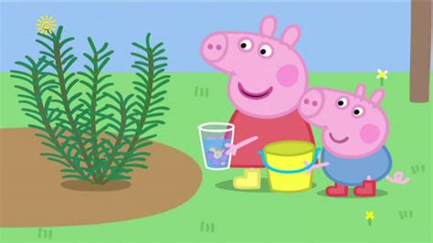 Peppa Pig Flowers Rain Will