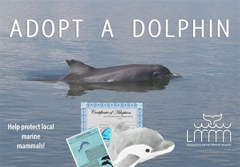 Adopt A Dolphin