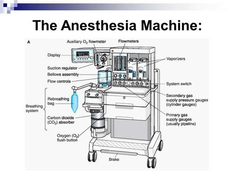 Pin By Andres Sanchez On Anesthesiology Anesthesia Nursing School