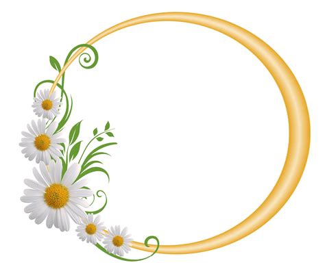 Daisy Border Png In Transparent Clipart Kb Best Png For You