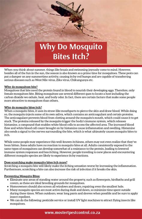 Why Do Mosquito Bites Itch Mostert Pest Control