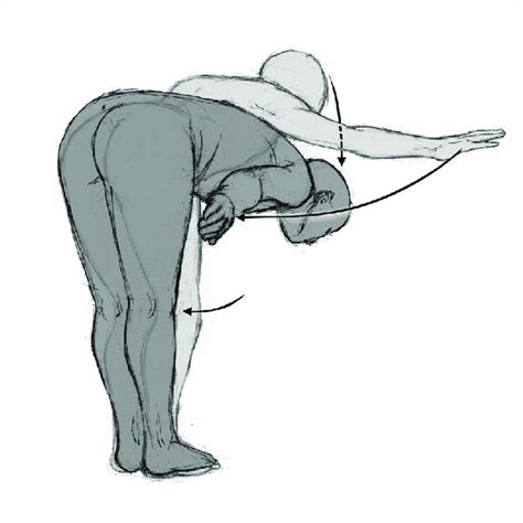 Positions Standing Posture With Trunk Flexion Progression Posterior