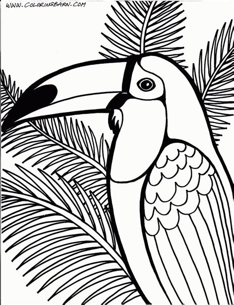 This toucan coloring pages will helps kids to focus while developing creativity, motor skills and color recognition. Toucan coloring page | Parrots and other Birds | Pinterest
