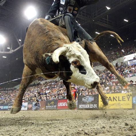 Pin By Haley Korenak On They Call The Thing Rodeo Professional Bull Riders Pbr Bull Riding