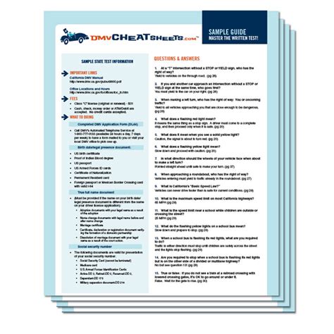 Driver License Cheat Sheet Free Caseslalapa
