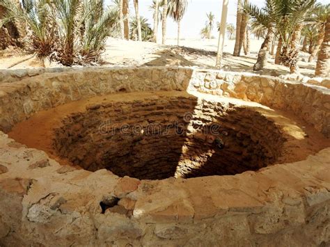 Water Well And Palms In Prophet Moses Springs Sinai Peninsula Ras