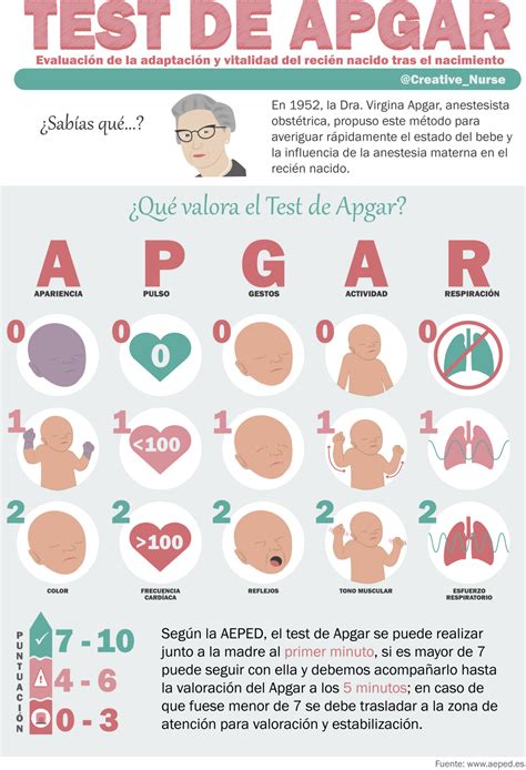 Test De Apgar Valoracion En El Apgar