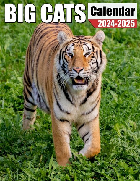 Big Cats Calendar 2024 2025 A 24 Month Calendar For Jan