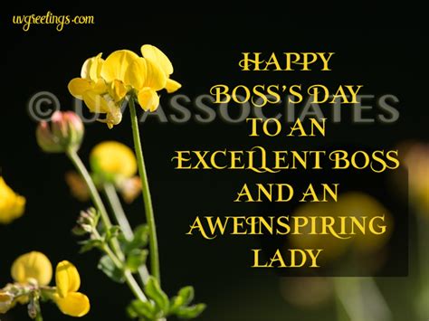 For An Excellent Boss And Awe Inspiring Lady Bosss Day Wishes