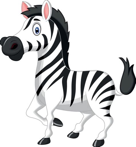 Gambar Zebra Kartun Png