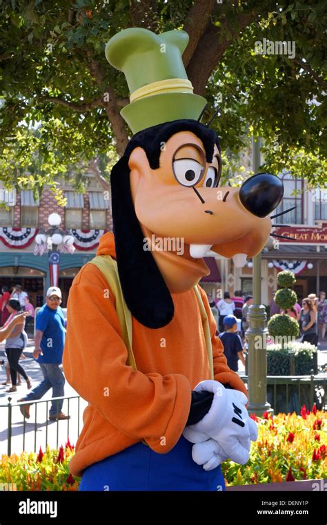 Goofy Disneyland