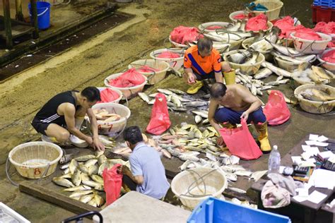 Look up in linguee suggest as a translation of fishery port Night Tour at Jurong Fishery Port - FULLY BOOKED | Swiss ...