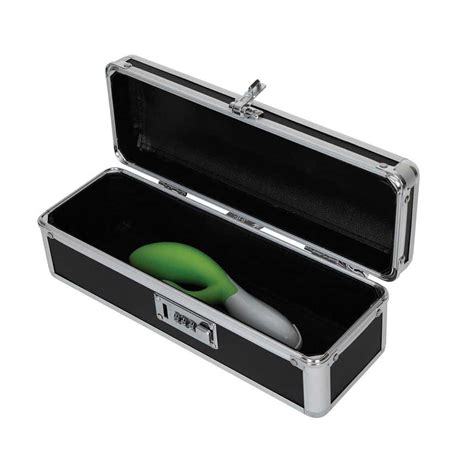Lockable Sex Toy Storage Box Lockable Vibrator Case Discreet Shipping