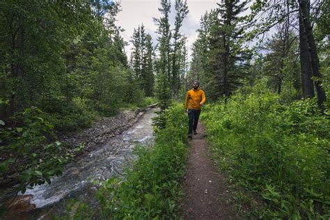 How To Hike To Allison Creek Falls In The Crowsnest Pass — Seeing The