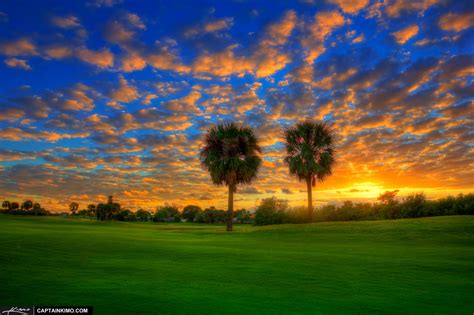 Golf Course Sunset At North Palm Beach Over Palm Tree