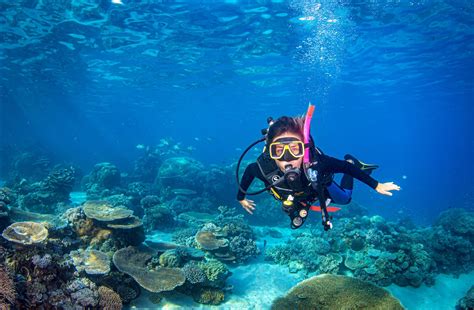Scuba Diving Great Barrier Reef Great Barrier Reef Diving