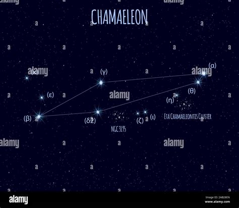Chamaeleon The Chameleon Constellation Vector Illustration With