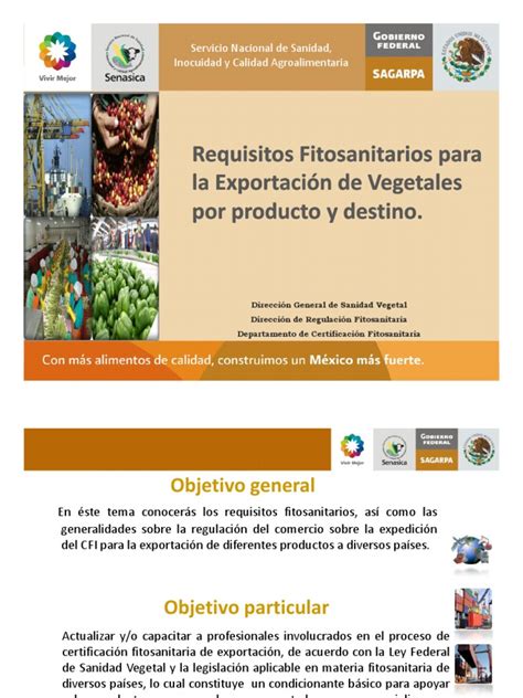 The food and agriculture organization recently released the food price index. T10ReqFitparaexportacióndevegetalesporproductoydestino ...