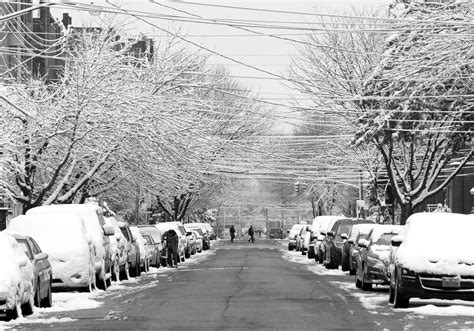 Snow Covered Street Brooklyn New York Street New York City