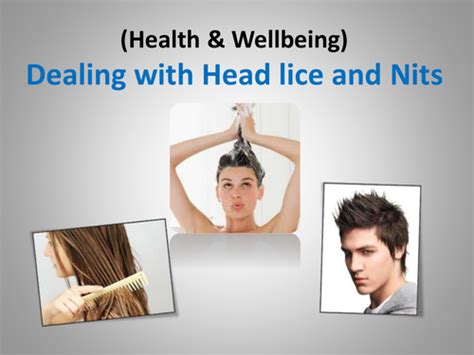 Head Lice And Nits Health And Wellbeing Powerpoint Lesson Teaching