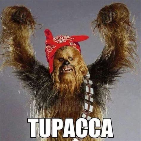 Chewbacca Tupac Bandana Starwars Rapper Lol Funnymemes Star