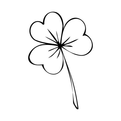 3 Leaf Clover Drawing Illustrations Royalty Free Vector Graphics