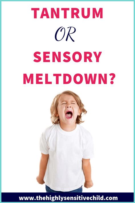 Tantrum Or Sensory Meltdown Sensitive Children Emotional Child