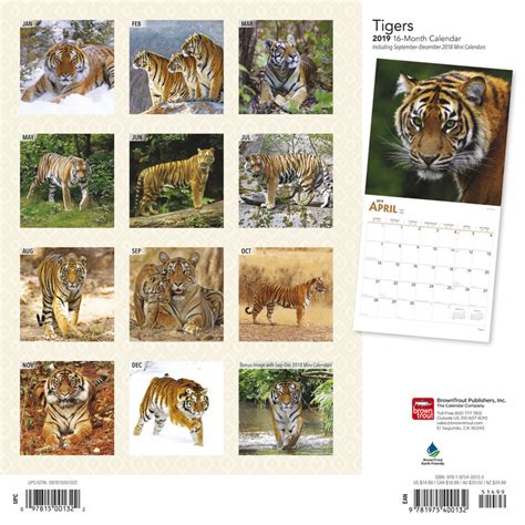 Tigers Wall Calendars 2022 Large Selection