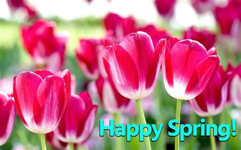 Happy Spring Wallpapers Top Free Happy Spring Backgrounds