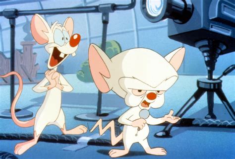 The two mice initiate creative and hilarious schemes for world domination, only to have them ultimately fail. Here's A Look At The Live Action Version Of 'Pinky & The Brain' | GEEKS ON COFFEE