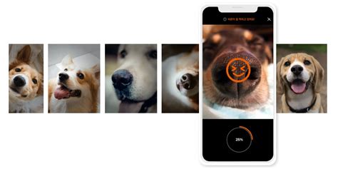 韓國petnow App通過掃描狗狗鼻紋 辨別失蹤寵物身分 助尋回主人