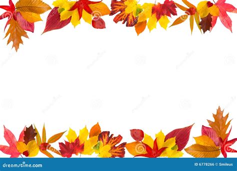 Autumn Leaves Border Stock Photo Image Of Colorful Fall 6778266