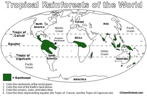 The world's largest tropical rainforests are in the amazon basin in south america, lowland regions in africa, and the islands off of southeast asia. Rainforest Locations Worldwide | rainforest:rainforest ...