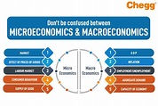 Microeconomics and Macroeconomics | Difference & Explanation