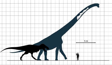 Titanosaurus was found by doctor shinji mafune. Titanosaurus | Amino Paleontología Amino