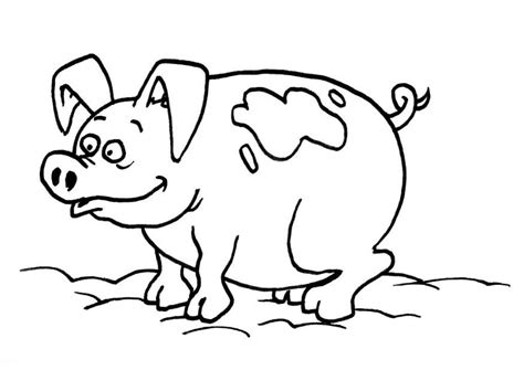Best crayon drawing animal by george faint. Coloriage porc à imprimer pour les enfants - CP22102