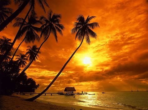 Gutes Sonnenuntergang Tropen Natur Hintergrund Beste Kostenlose Bilder