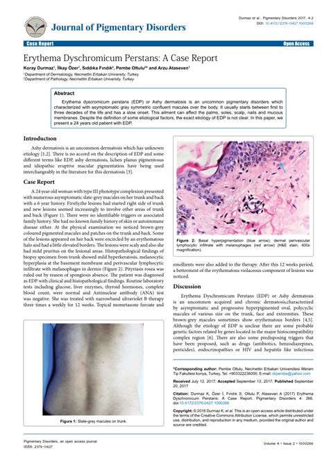 Pdf Erythema Dyschromicum Perstans A Case Report