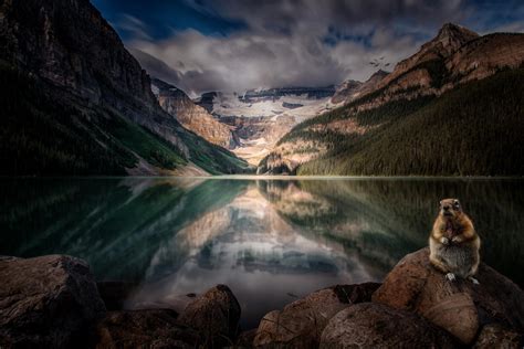 Télécharger Fonds Décran Pour Téléphone Lac Moraine Alberta Parc