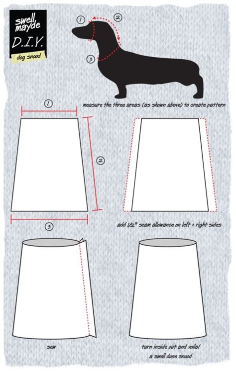 How To Make A Skirt For A Dachshund Dog In The Process Of Sewing