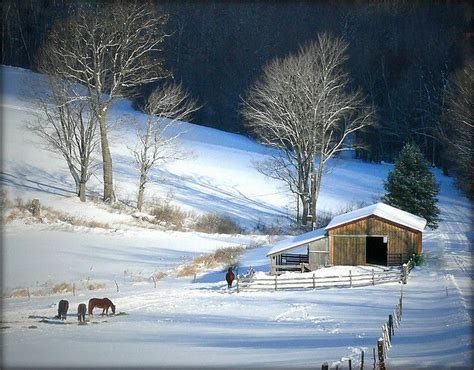 Winter Wonderland Paisaje Increibles Las Maravillas De Invierno